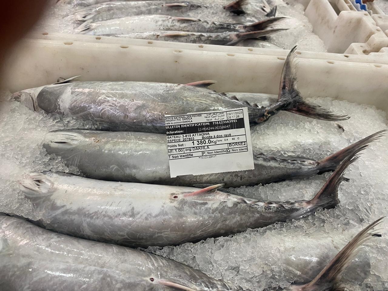 Installation de traitement Bleu Food Mar